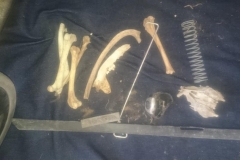 Chimney With Sheep bones and head